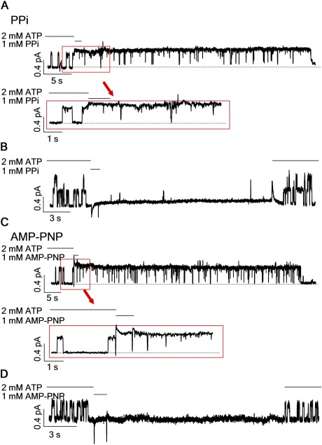 Figure 6.