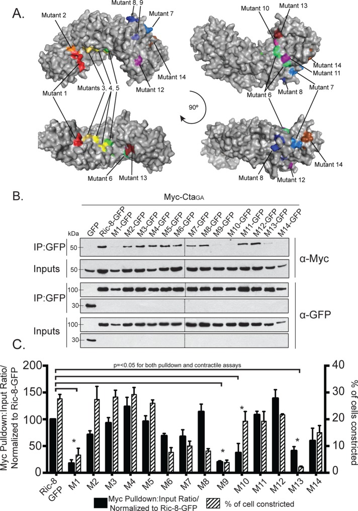 FIGURE 5: