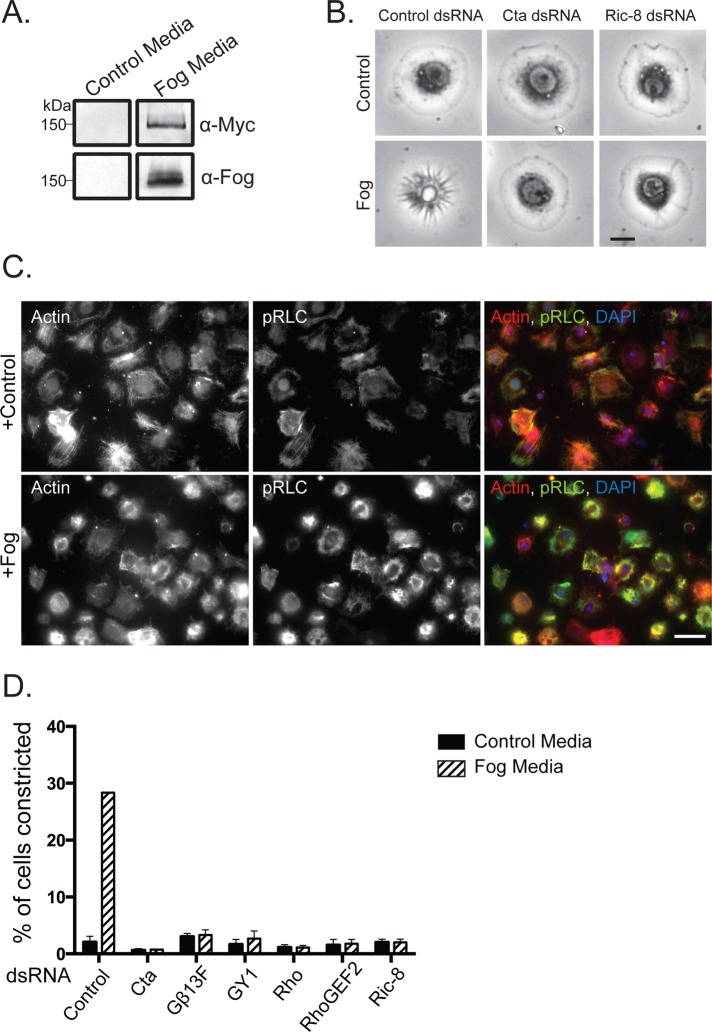 FIGURE 1: