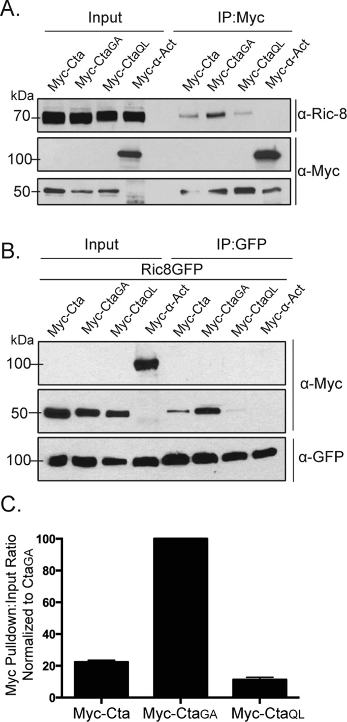 FIGURE 3: