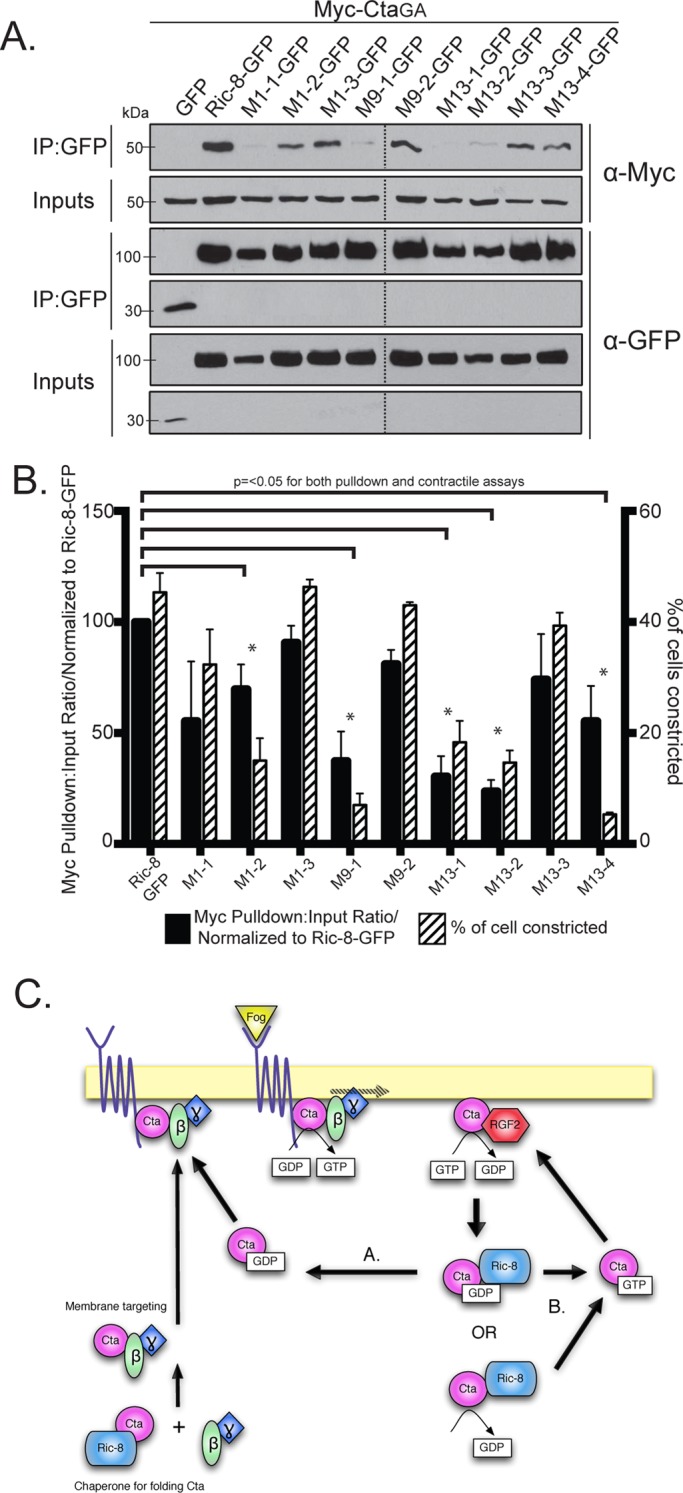 FIGURE 6: