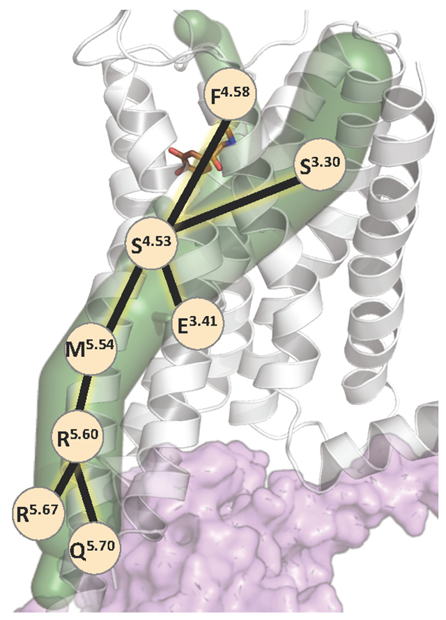 graphic file with name nihms-1858383-f0003.jpg