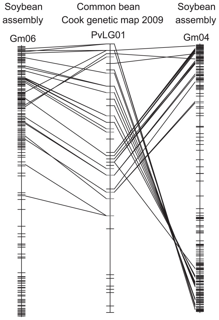 Fig. 5