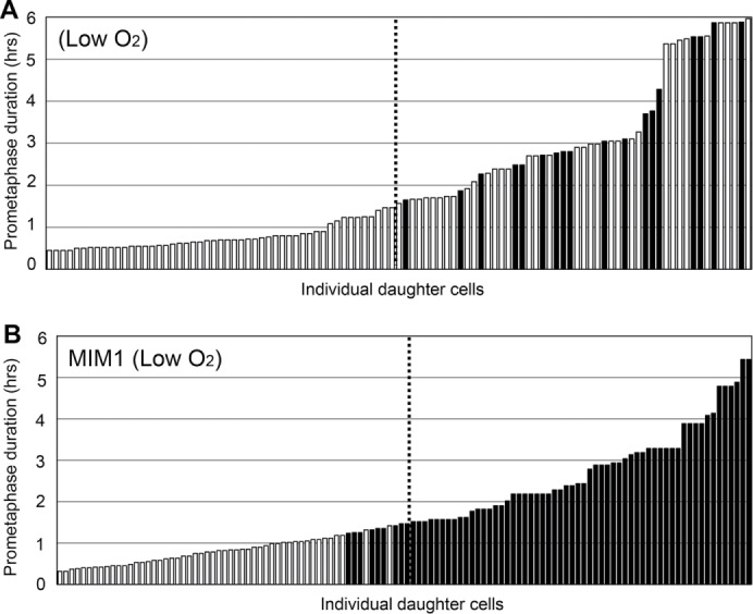 FIGURE 5: