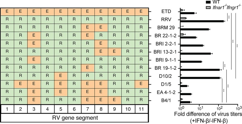 FIG 1