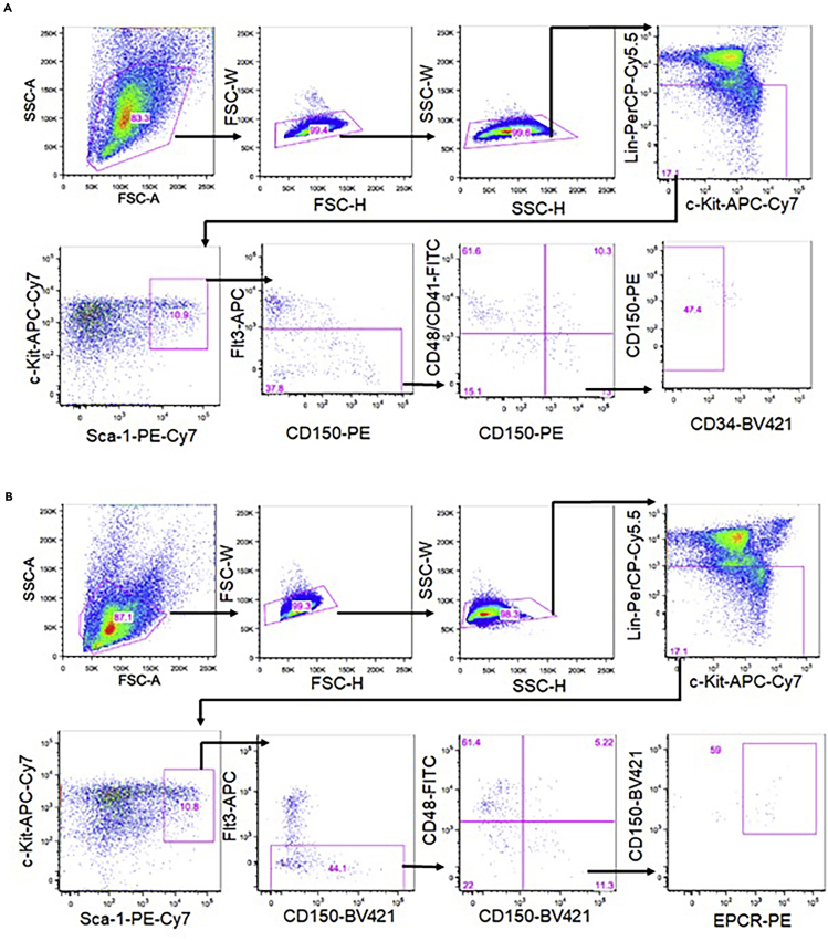 Figure 2