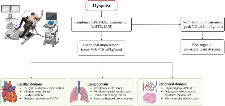 Graphical abstract