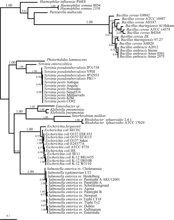 FIG. 5.