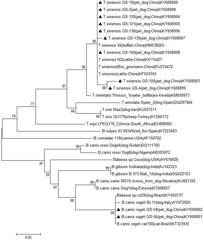 FIGURE 1