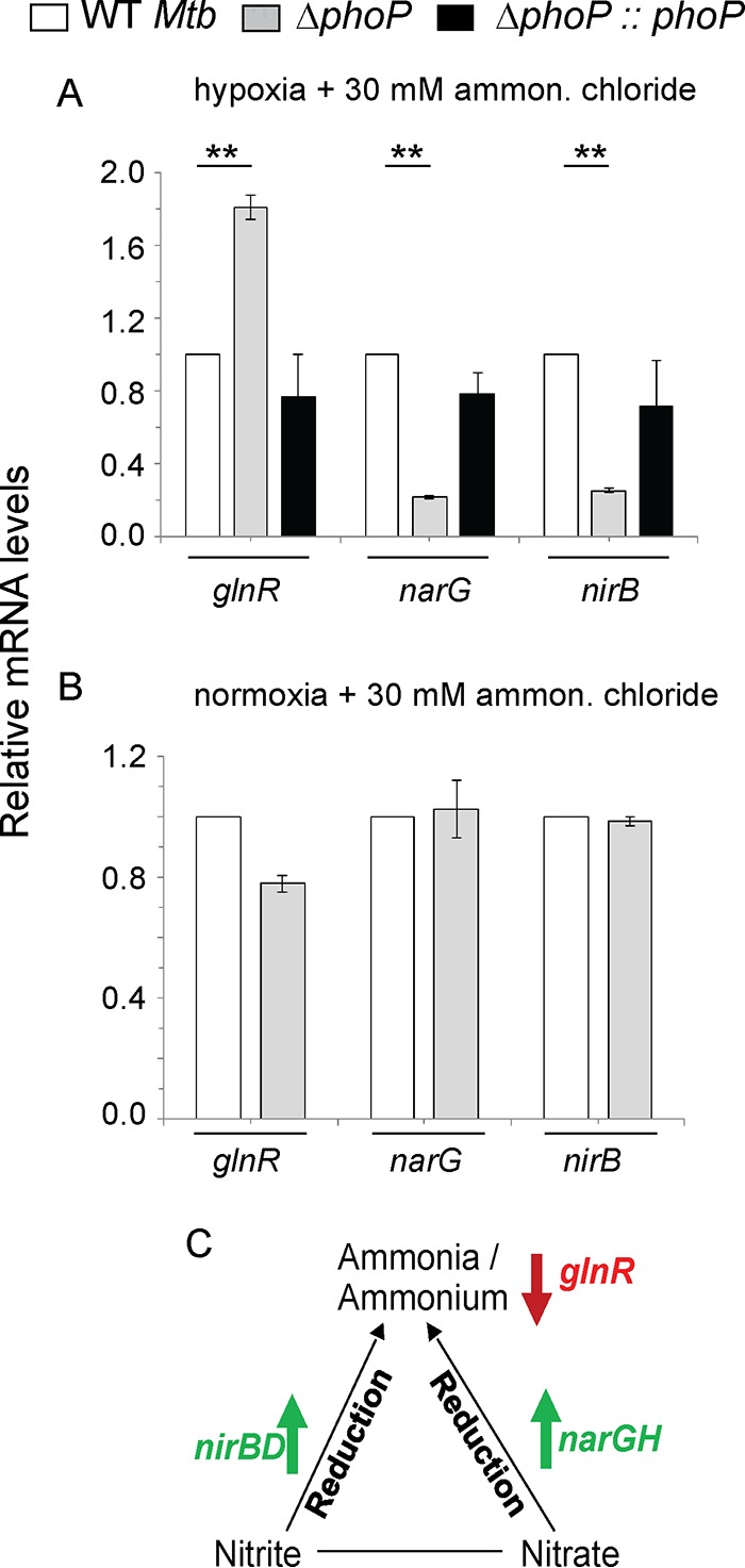 FIG 2