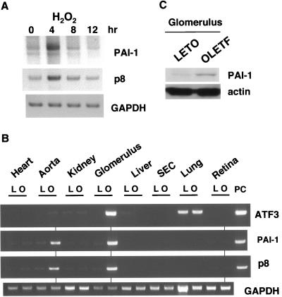 FIG. 7.