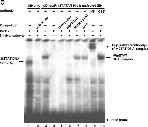 FIG.6.