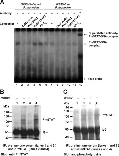 FIG. 7.