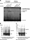 FIG. 7.
