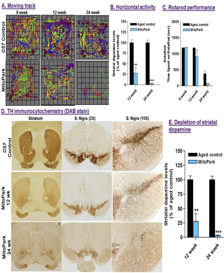 Fig. 12