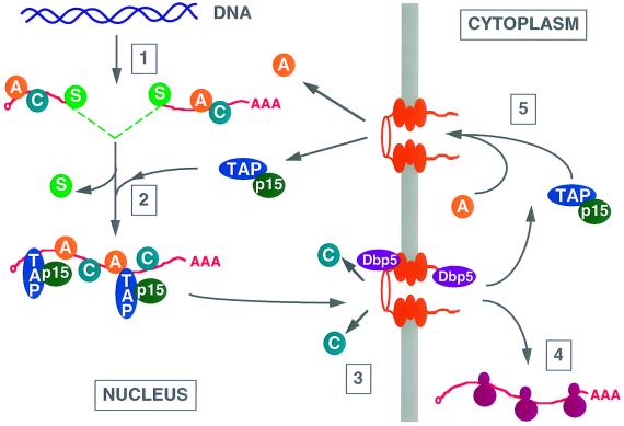 FIG. 3