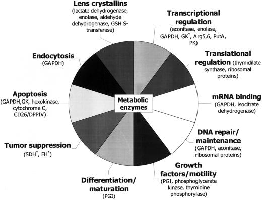 Figure  2