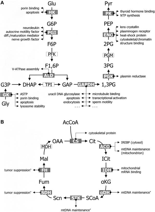 Figure  1