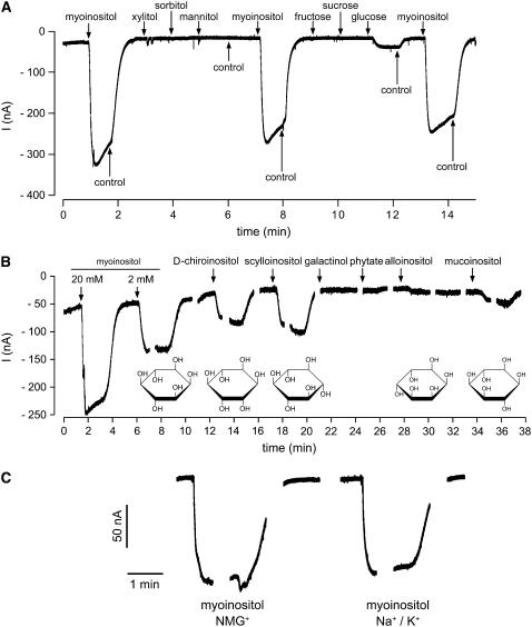 Figure 3.