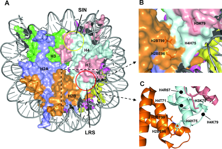 Figure 1.