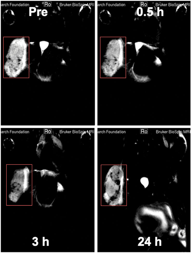 Fig. 7.