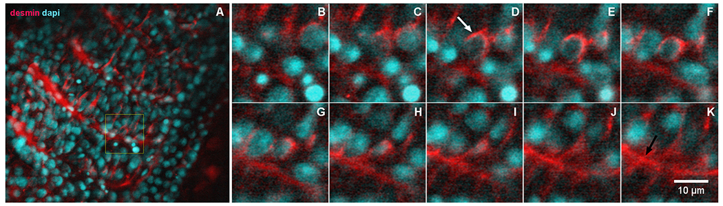 Fig. 4.