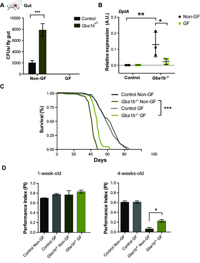 Fig 4