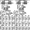 Figure EV4