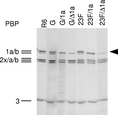 FIG. 2.