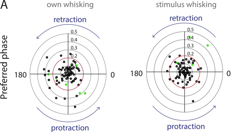 Figure 3—figure supplement 5.