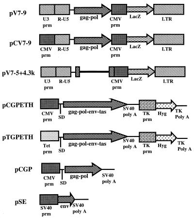 FIG. 1