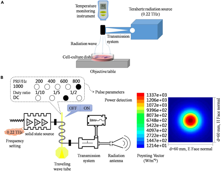 Figure 1