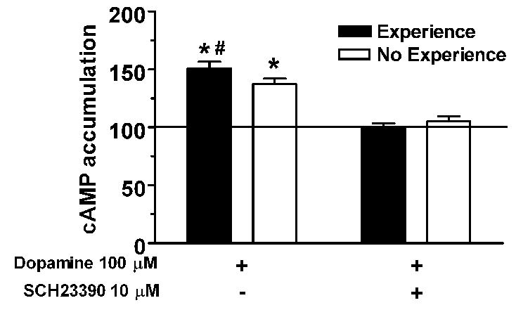 Fig 10