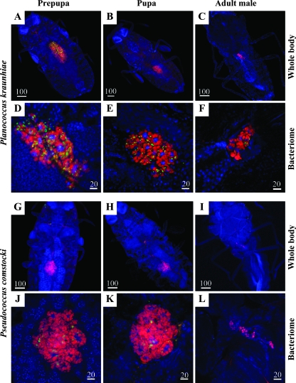 FIG. 6.