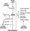 Figure 11.