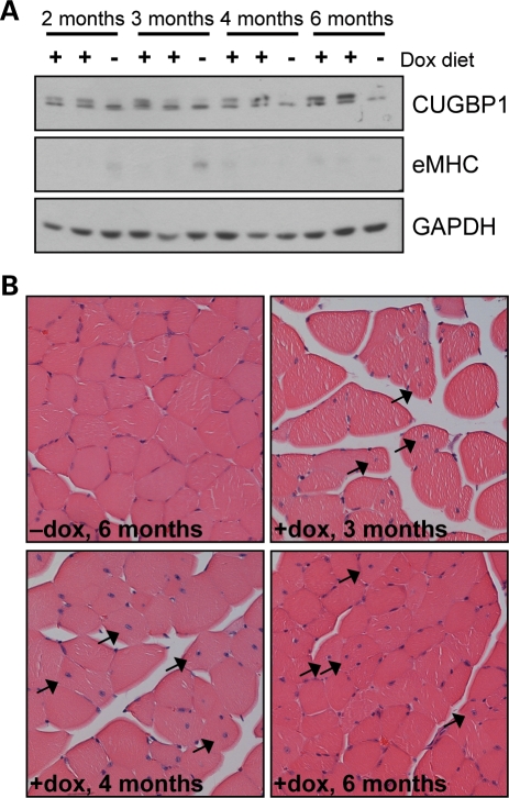 Figure 4.