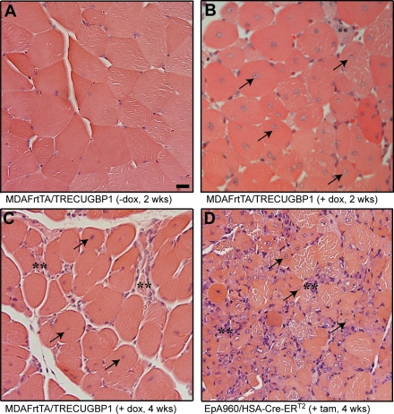 Figure 3.