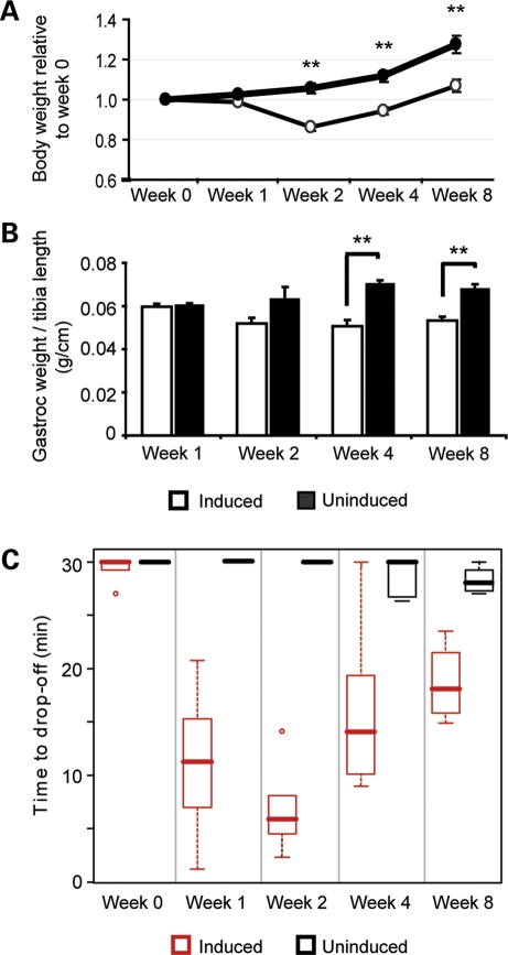 Figure 2.