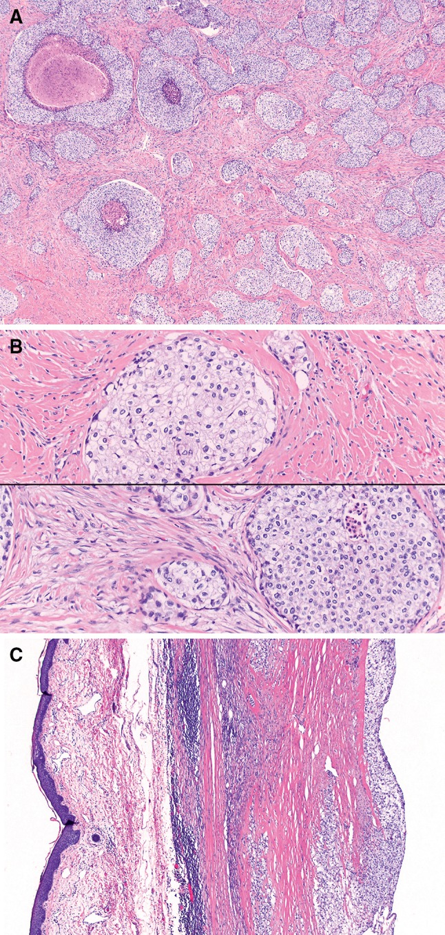 Fig. 2