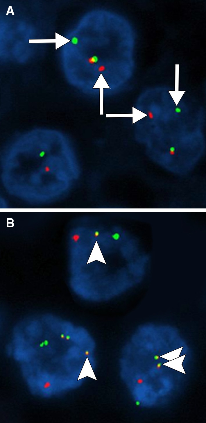 Fig. 3