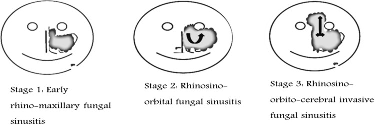 Fig. 3