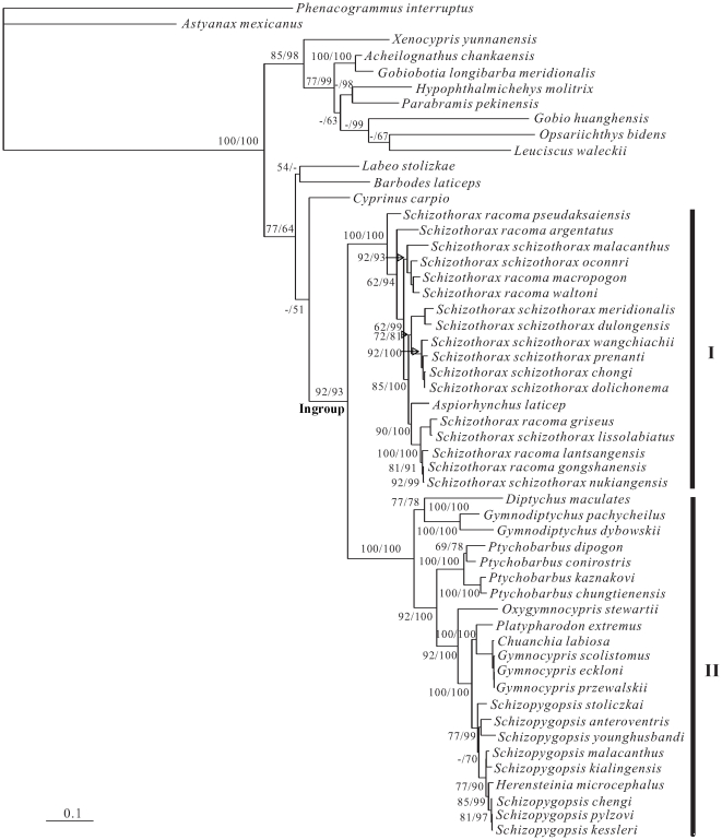 Figure 1