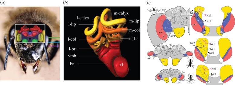 Figure 5.