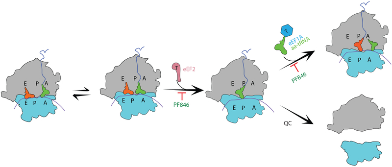 Fig. 6 ∣