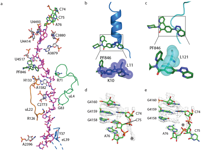 Fig. 3 ∣