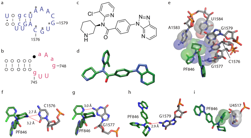 Fig. 2 ∣