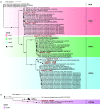 FIG 8