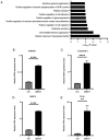 Figure 4. UBE2T upregulates the expression of mesenchymal cell markers associated with motility and epithelial–mesenchymal transition. (A) Gene Ontology functional enrichment analysis of 62 differenti...