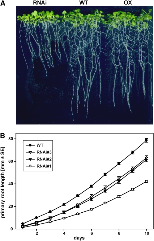 Figure 7.