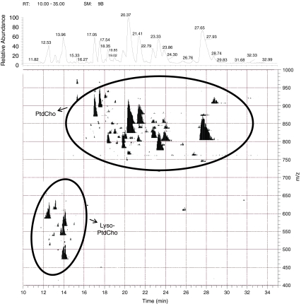 Fig. 2